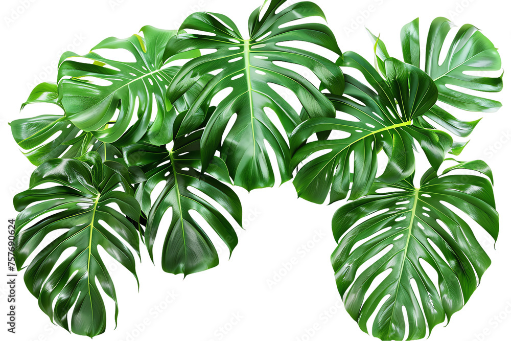 Isolated tree with leaves on a white background surrounded by green foliage and branches, representing nature and growth Isolated tree with leaves on a white background surrounded by green foliage and branches, representing nature and growth