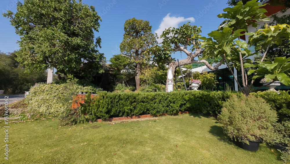 Bush, Yard - Grounds, Public Park, Formal Garden, Tree