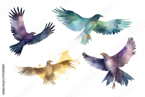 eagles isolated flying background illustration birds watercolor white set