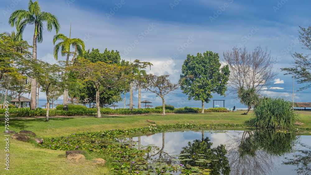Obraz premium Water lilies bloom in the decorative pond of the tropical park. Green grass on the lawn. Deciduous trees, palms against a blue sky and clouds. Reflection. Malaysia. Borneo. Kota Kinabalu.