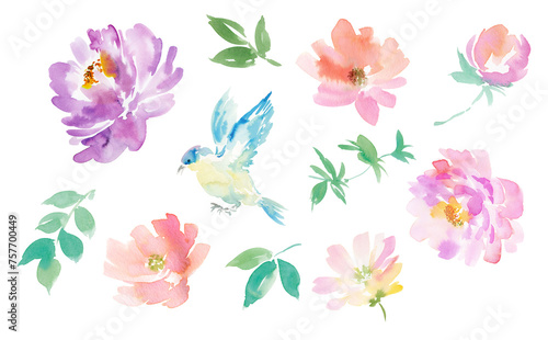 Set of abstract watercolor illustration materials for peonies and foliage backgrounds