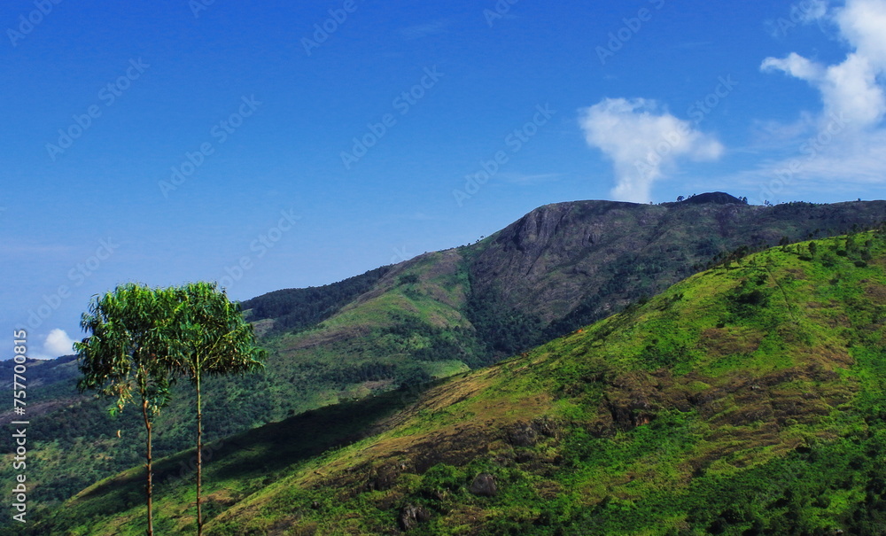 panoramic view of lush green palani mountain range from kodaikanal hill station in tamilnadu, south india