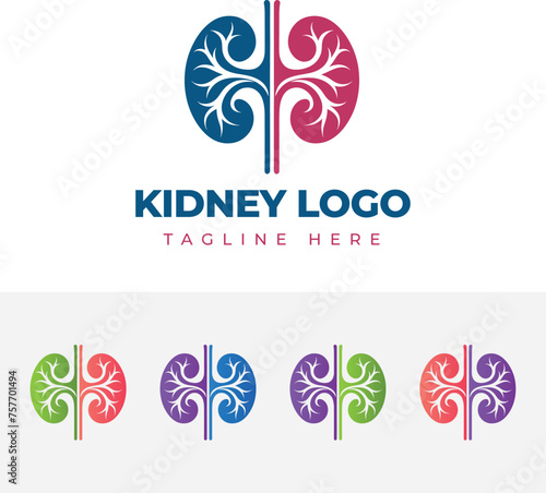 Kidney Logo Template Design Vector illustration, Urology Logo Stock Vector, Healthcare human kidney organ concept.