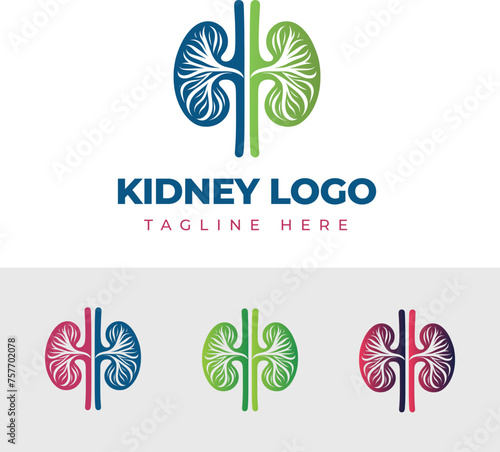 Kidney Logo Template Design Vector illustration, Urology Logo Stock Vector, Healthcare human kidney organ concept.