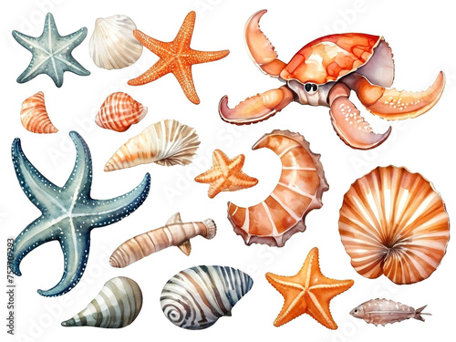 Set of seashells, starfish and crab. Watercolor illustration