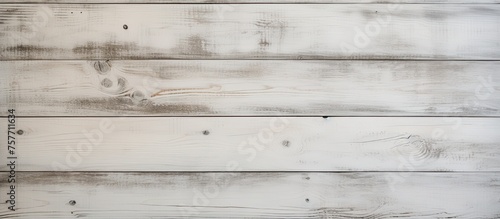 A detailed shot showcasing the texture of a white hardwood plank wall, with parallel lines and a monochrome photography aesthetic