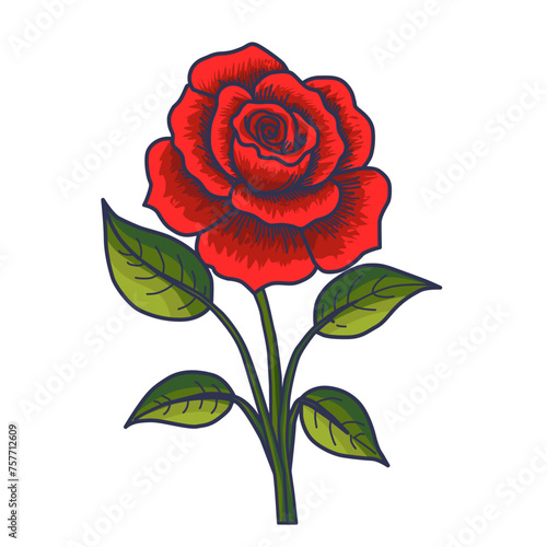 Roses are flowers that are very popular throughout the world because of their beauty. Roses are members of the Rosaceae family and are renowned for their elegant appearance and fragrant aroma.