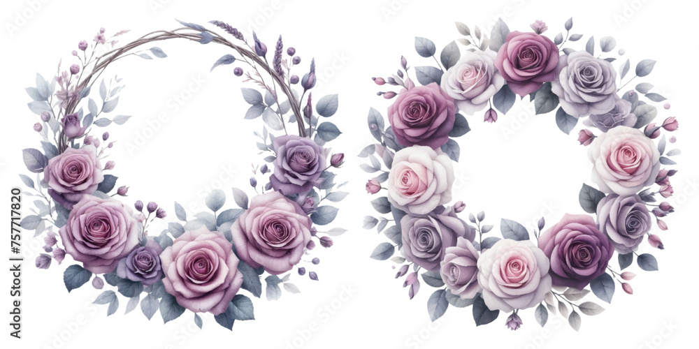 Purple rose wreath watercolor illustration material set Purple rose wreath watercolor illustration material set