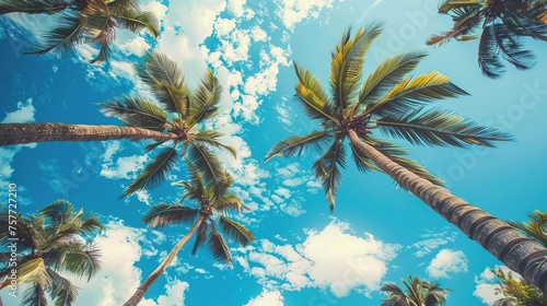 Blue sky and palm trees in vintage tropical summer style, perfect for travel and vacation concepts © Bijac