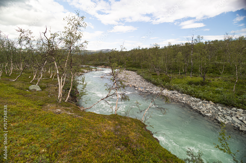 A wild, turbulent mountain river in the Sarek National Park, Sweden. A summer scenery with water in Northern Europe.