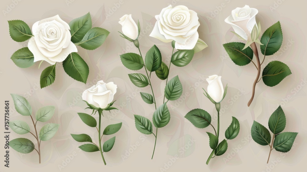 Set of floral branches with white roses and green leaves. Wedding concept. Floral poster or invite. Modern arrangements for greeting card or invitation design.