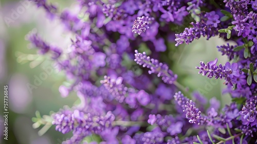 A lavender wreath decorates this card