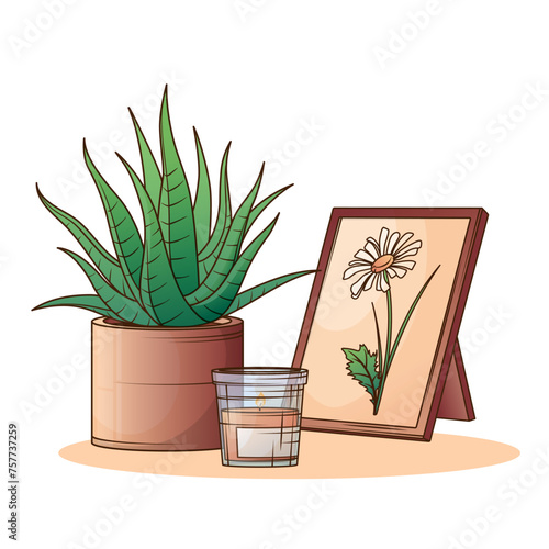 Composition of haworthia fasciata, candle and photos frame. Vector illustration of Zebra plant. Interior, home garden concept. 