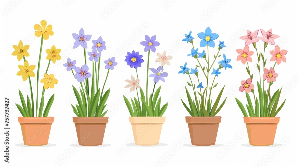 Flowers in pots, isolated on white background, modern illustration