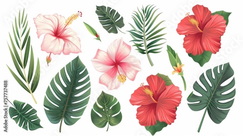 Hawaiin hibiscus and exotic aloha plants modern illustration.