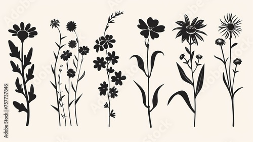 Modern silhouettes of simple flowers. Set of 8 in eps8 photo