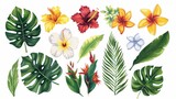 An assortment of traditional and tropical flowers and leaves