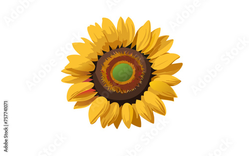 太陽の花（単体のひまわりのアイコン）