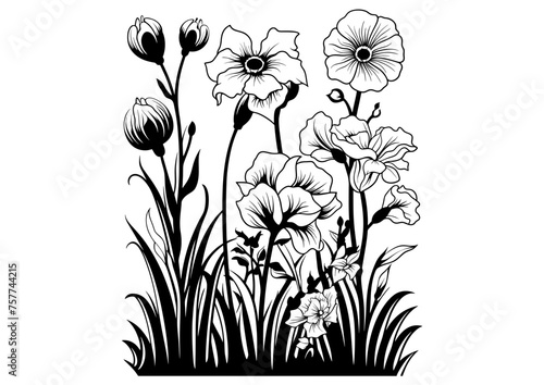 Art Nouveau Grass and flowers Graphic Accents, vector illustration, vintage elements 