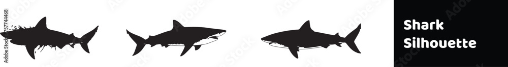 Shark Silhouette stock illustration 