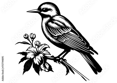 Art Nouveau Bird Graphic Accents, vector illustration, vintage elements	
