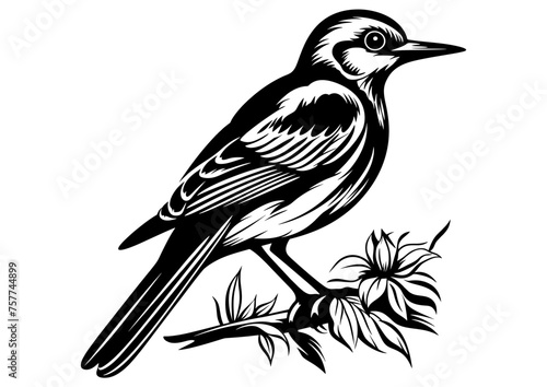 Art Nouveau Bird Graphic Accents, vector illustration, vintage elements	
