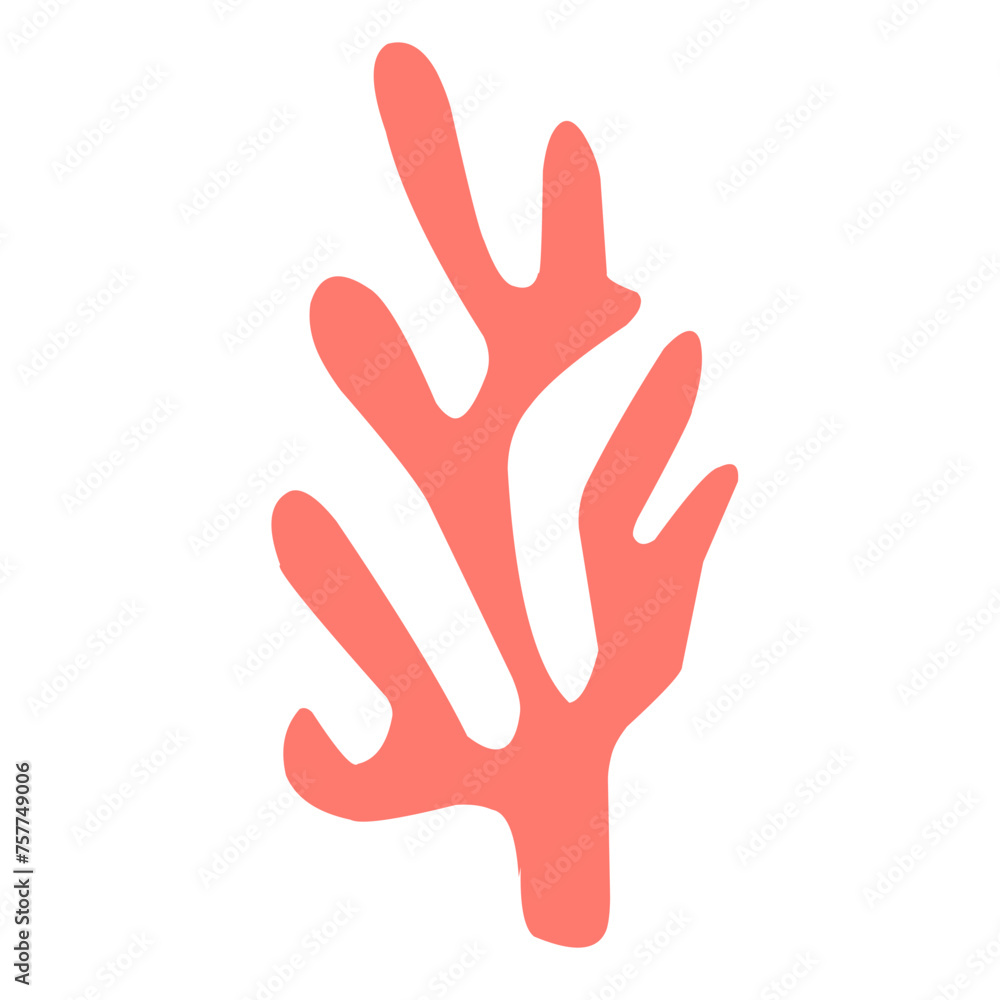marine coral reef marine coral reef