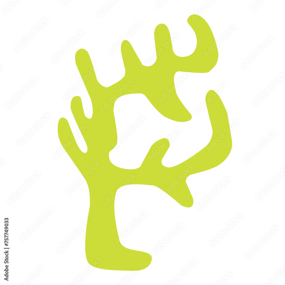 marine coral reef marine coral reef