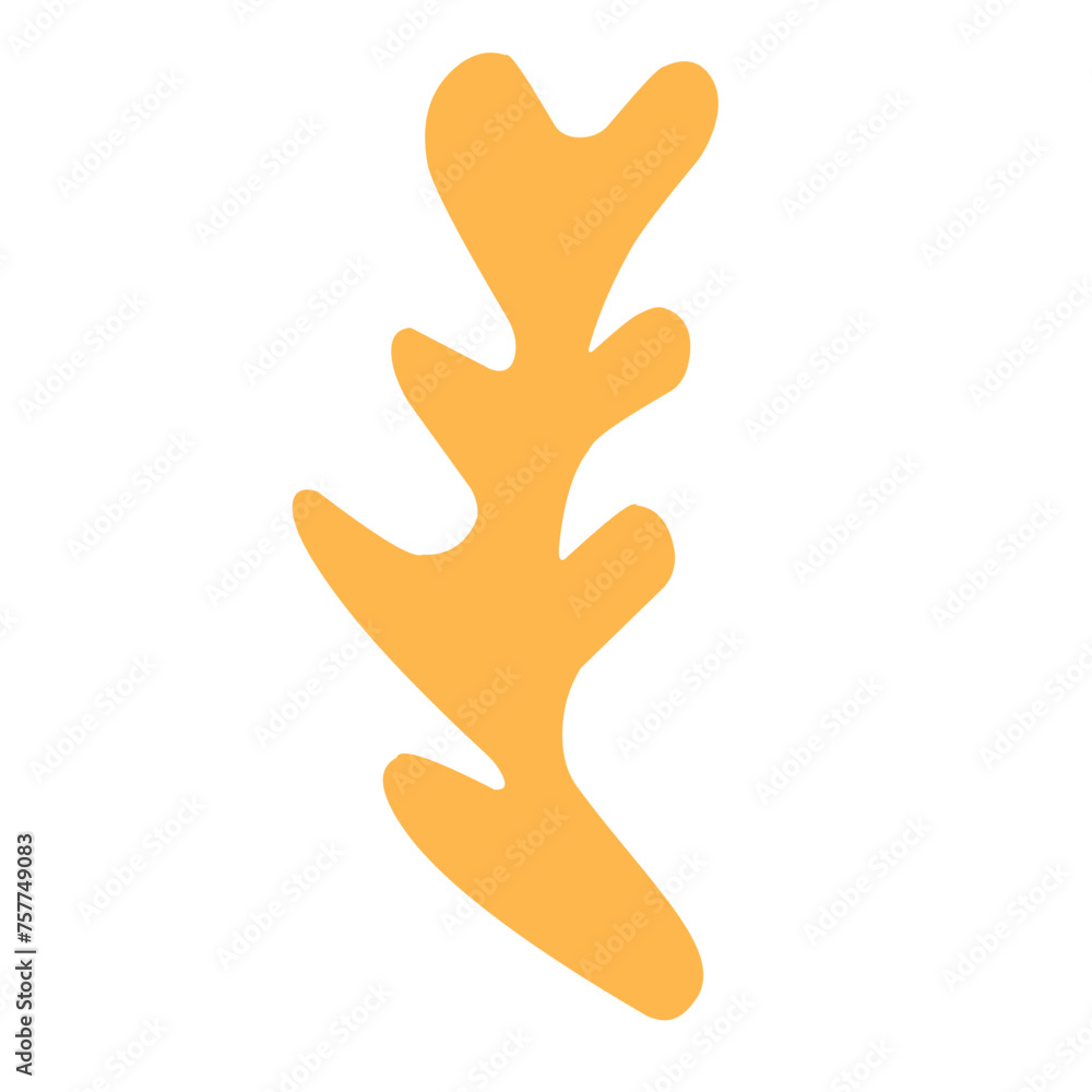 Obraz premium marine coral reef