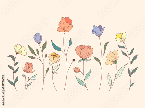 Vector of Illustration of wild flowers about flowers  icon  illustration  floral  and nature. Beautiful flower style color 