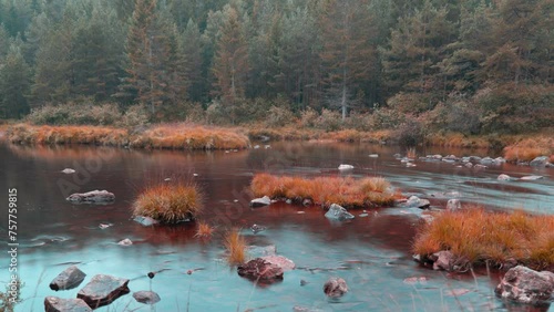 View of a shallow river with tussocks of withered grass and rocky bottom. photo