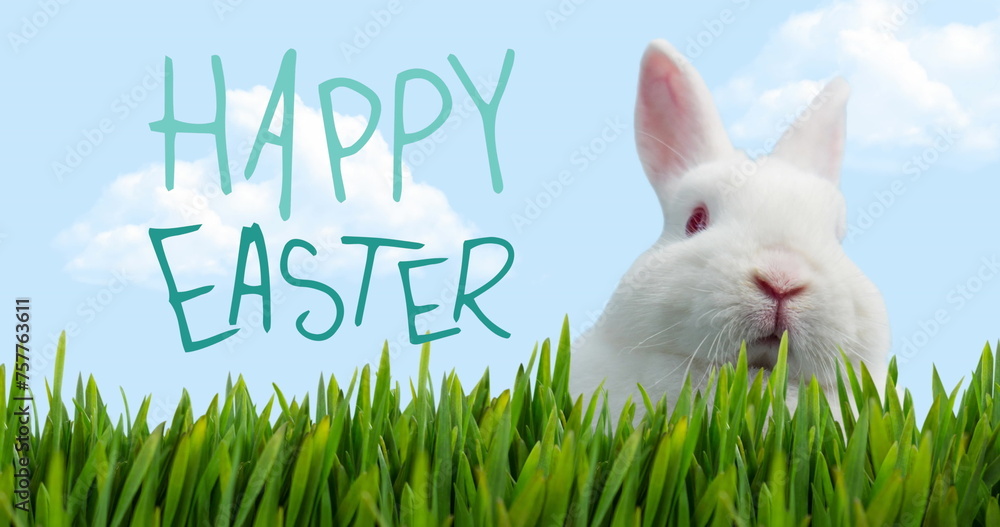 Fototapeta premium Image of happy easter, white bunny and grass