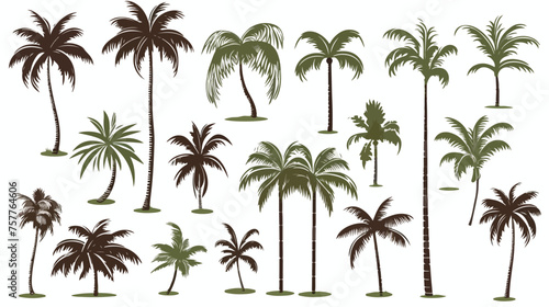 Tropical coconut palm trees. Vector sketch illustration