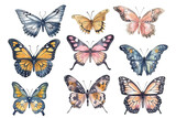 white watercolor background set colorful hand butterflies Vector pastel drawn