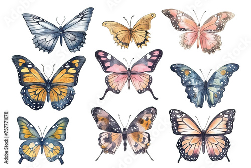 white watercolor background set colorful hand butterflies Vector pastel drawn © akk png