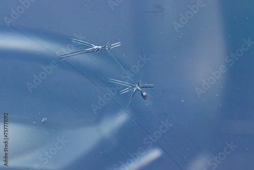 Crack windshield from stone, broken car glass