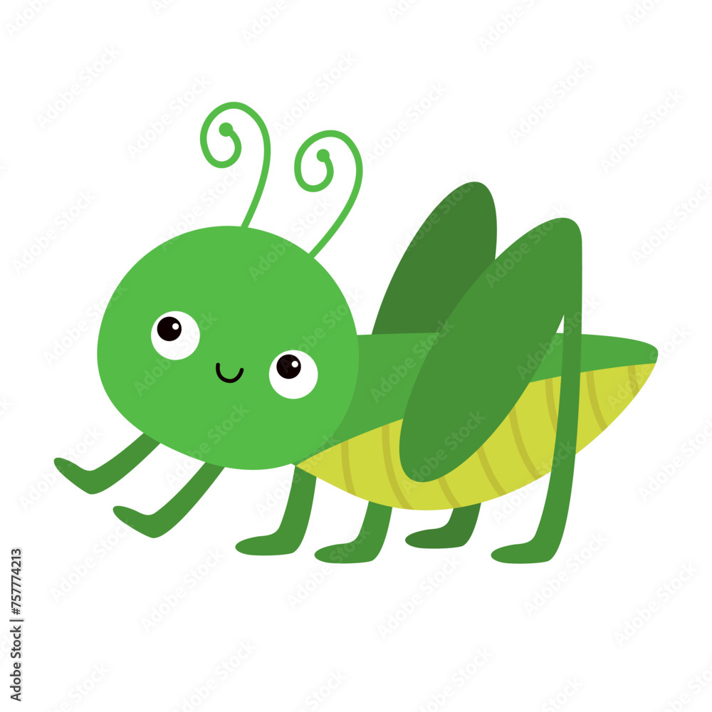 Grasshopper cricket locust icon. Cute cartoon kawaii funny baby character. Insect bug collection. Childish style. Flat design. White background. Isolated. Grasshopper cricket locust icon. Cute cartoon kawaii funny baby character. Insect bug collection. Childish style. Flat design. White background. Isolated.