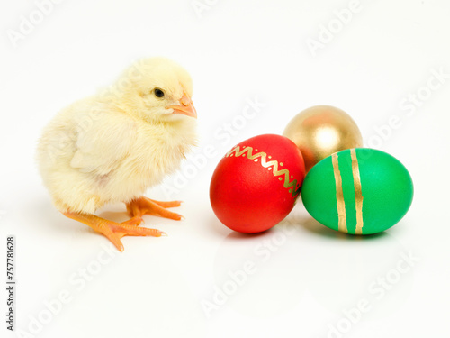 Isolated, chick and egg for easter in studio or traditional, decorative and festive or religious holiday. Wrapped and creative treats or cultural symbolic bird or good Friday on white background