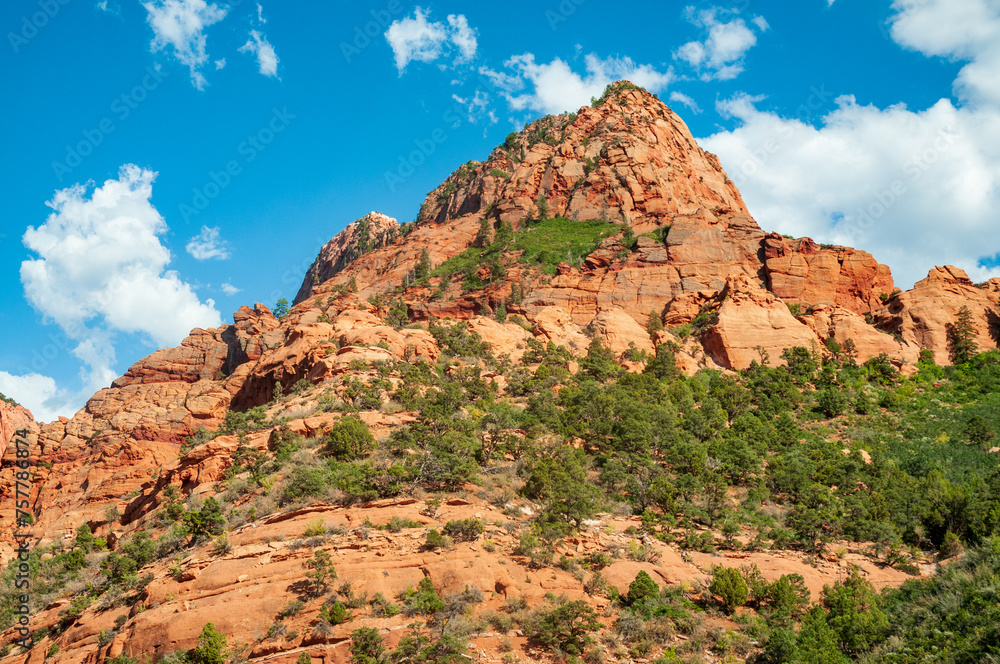 Fototapeta premium Zion National Park in Utah