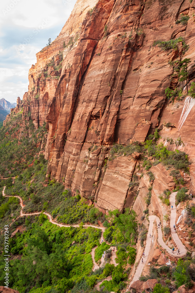 A View into the Valley at Zion National Park in Utah