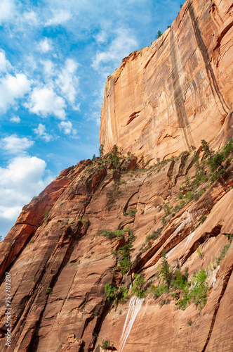 Zion National Park in Utah photo