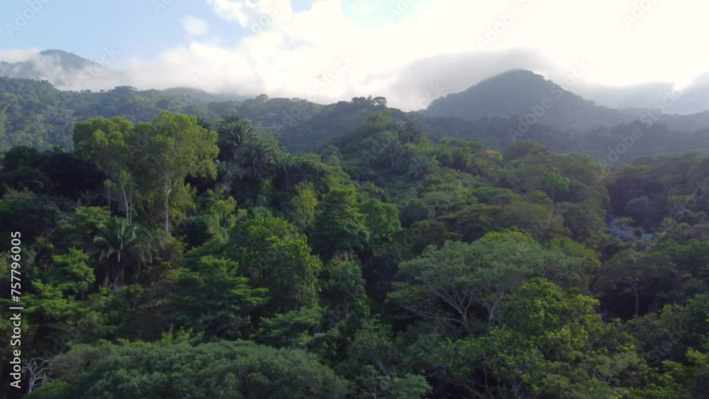 Slow approaching drone shot of a lush rainforest, against a background of mountains and the cloudy skies located in Minca, Colombia. Slow approaching drone shot of a lush rainforest, against a background of mountains and the cloudy skies located in Minca, Colombia.