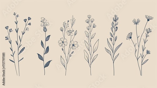 An elegant collection of botanically drawn line art elements. This design is perfect for logos, greeting cards, wedding invitations, and decor.