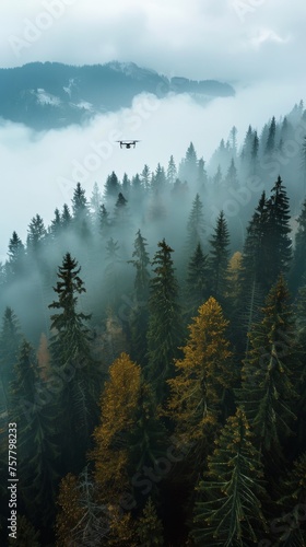 Plane Flying Over Foggy Forest © jiawei