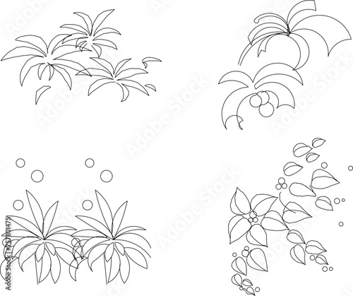vector sketch illustration of herbaceous plant design for completeness of the image