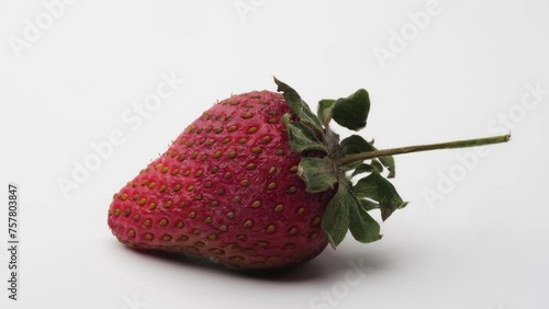 A captivating close-up time lapse video showcasing a strawberry's transition from ripe freshness to a shriveled, moldy state photo