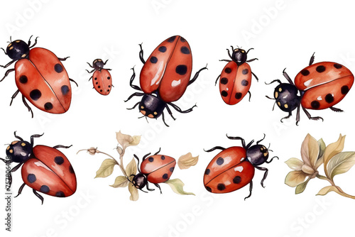 insect ladybugs watercolor Set