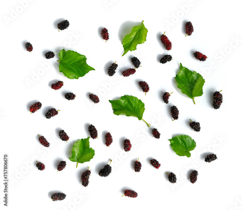 Mulberry fruits with green leaves isolated on white background, top view.