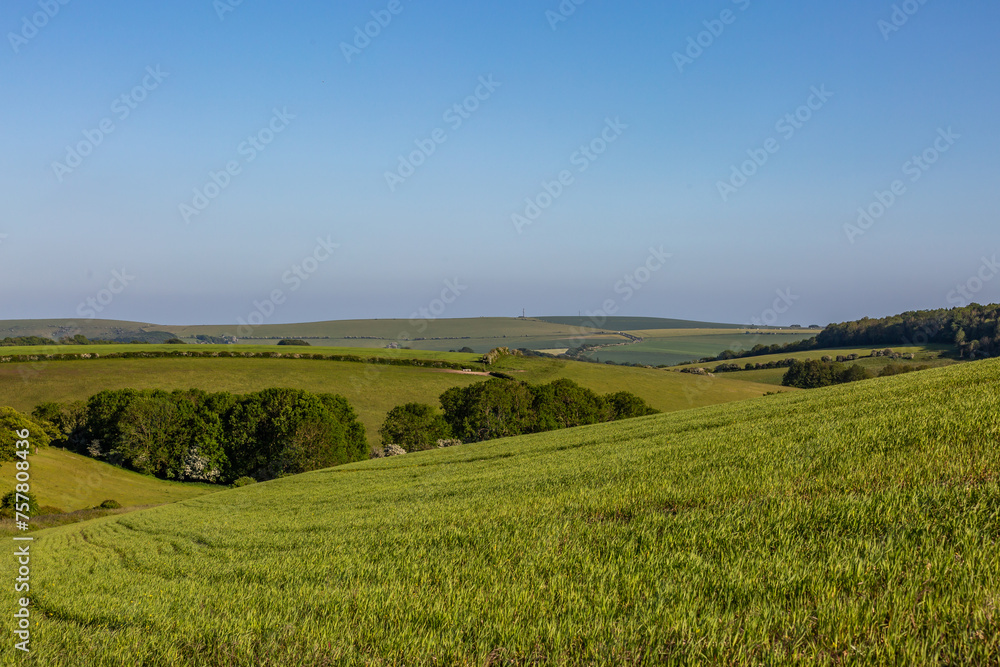 Green farmland in the South Downs on a sunny late spring day