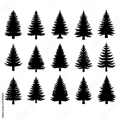 Isolated Pine on the white background. Pine silhouettes. Tree hand drawn © CHAIYAPHON